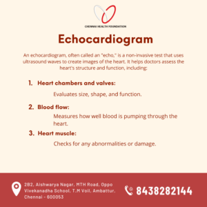 Echocardiogram