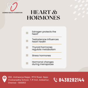 Estrogen protects the heart—when levels drop, heart risks rise.